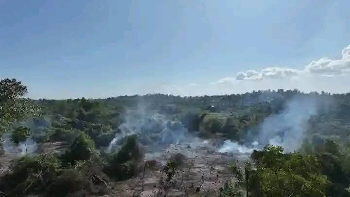 Le Jardin botanique des Cayes n’existe plus : 20 ans de fierté cayenne partis en fumée