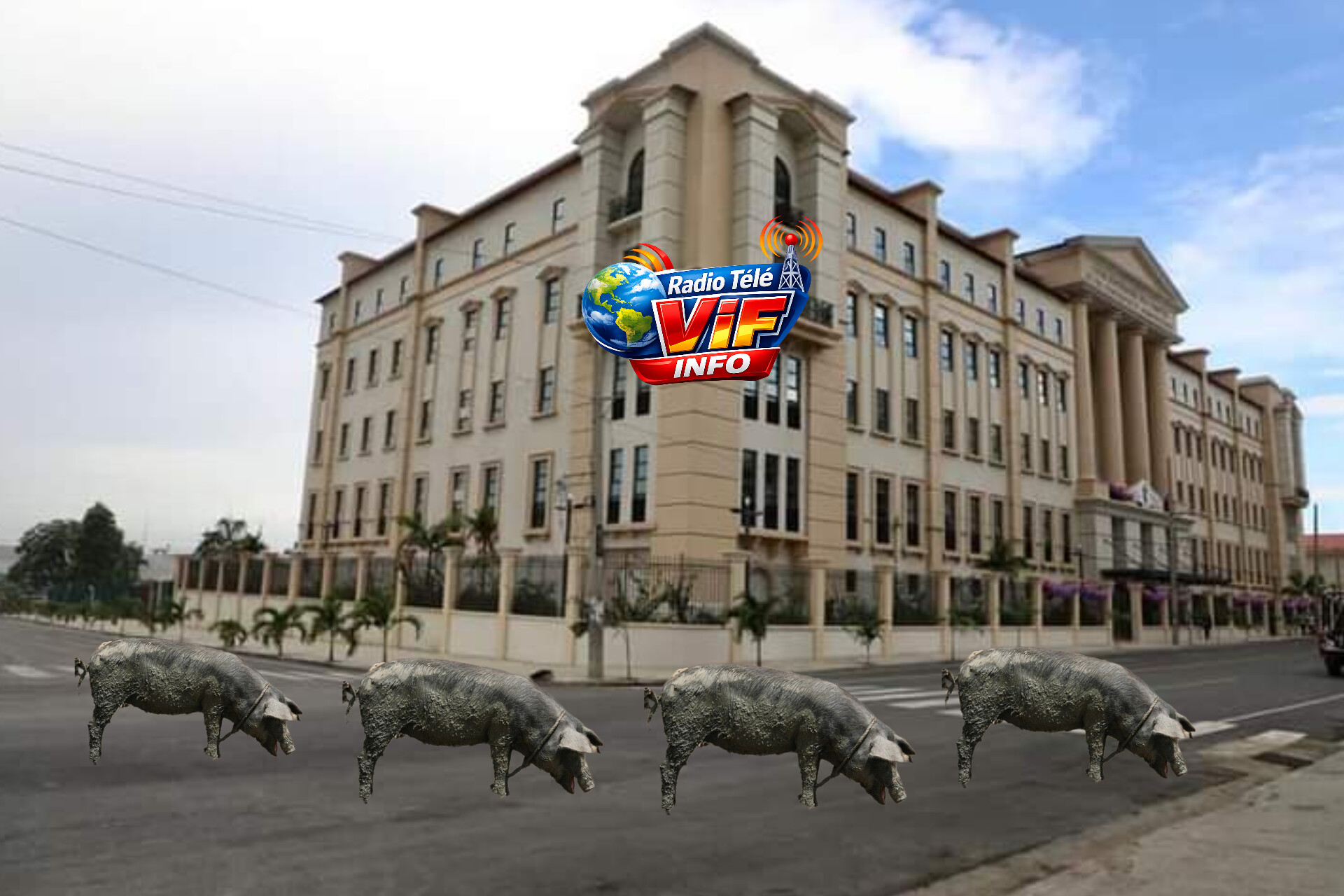 La Cour des comptes transformée en espace d’élevage d’animaux
